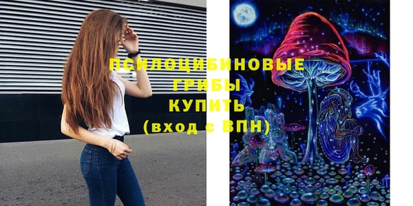 шишки Алексеевка