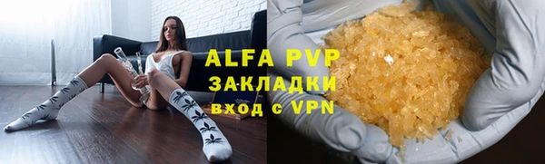 прущий лед Алзамай