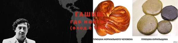 прущий лед Алзамай