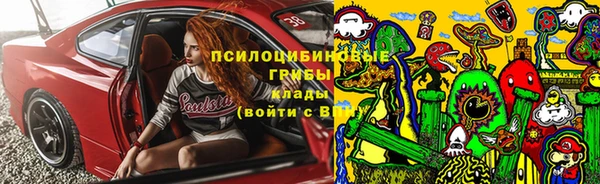 прущий лед Алзамай