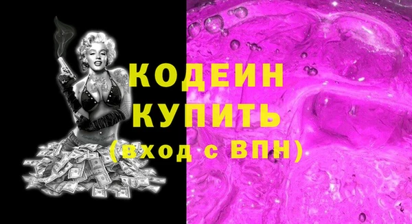 прущий лед Алзамай