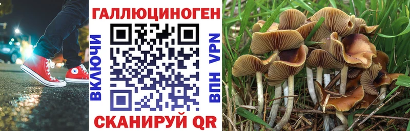 Галлюциногенные грибы GOLDEN TEACHER  Муром 